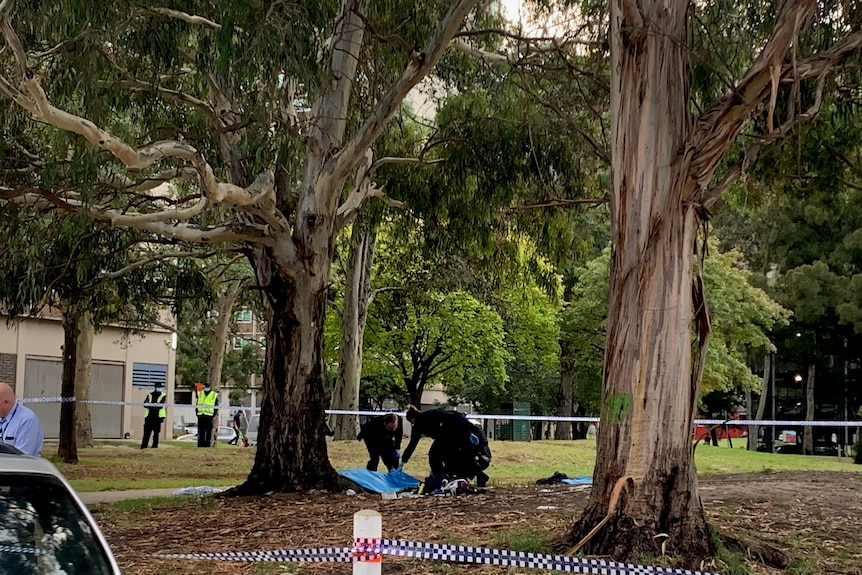 Police inspect a blue tarpaulin in a park in Richmond.