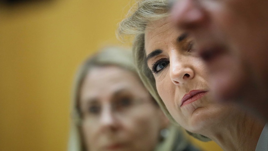 Jobs Minister Michaelia Cash in a Senate Estimates committee, partially obscured by departmental staff.