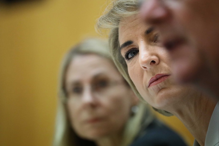 Jobs Minister Michaelia Cash in a Senate Estimates committee, partially obscured by departmental staff.