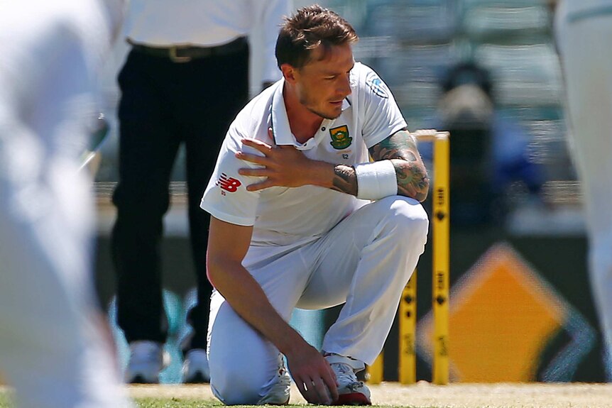 Dale Steyn clutches at his shoulder at the WACA