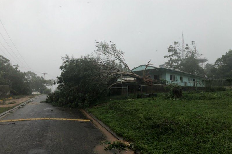 A large tree is uprooted near a home.