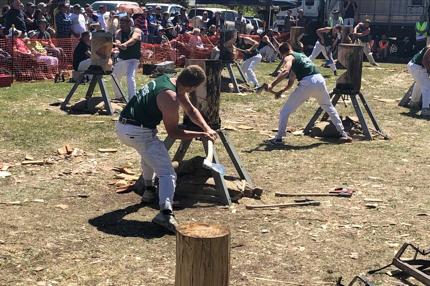 A man chopping wood in Tasmania.