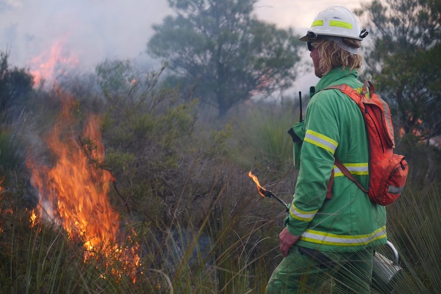 A man in green overalls, white hard hat and red backpack ignites a fire in bushland using a metal fire-starter.