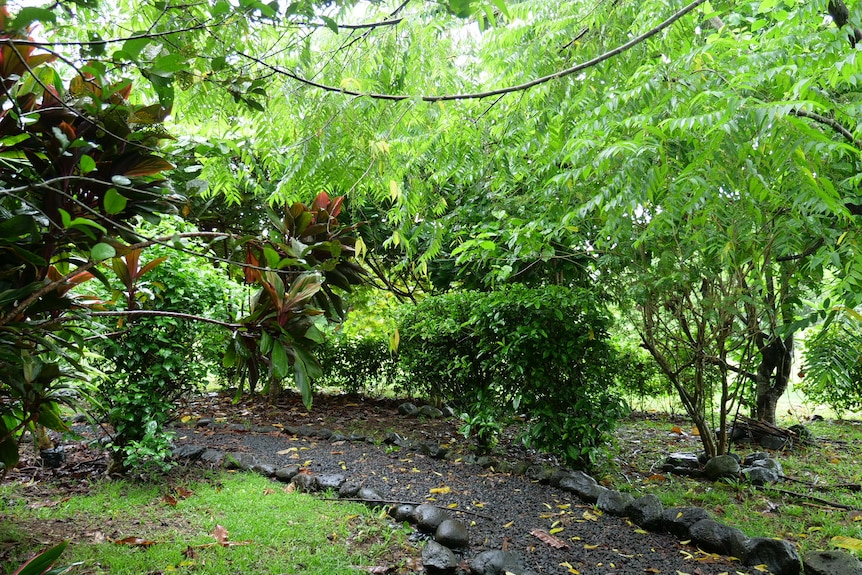 A path led down to beautiful green bush in Samoa. 