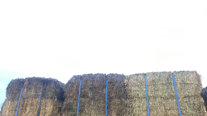 Poor quality bales of hay