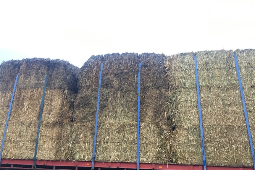 Poor quality bales of hay