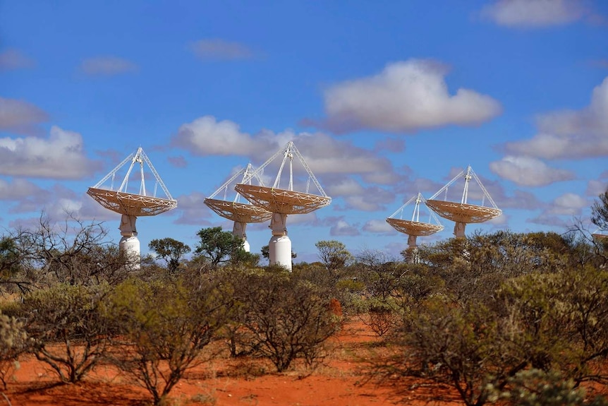 Six dish-shaped antennas stand on red sand amongst green shrubs, pointing up to a cloudy blue sky.