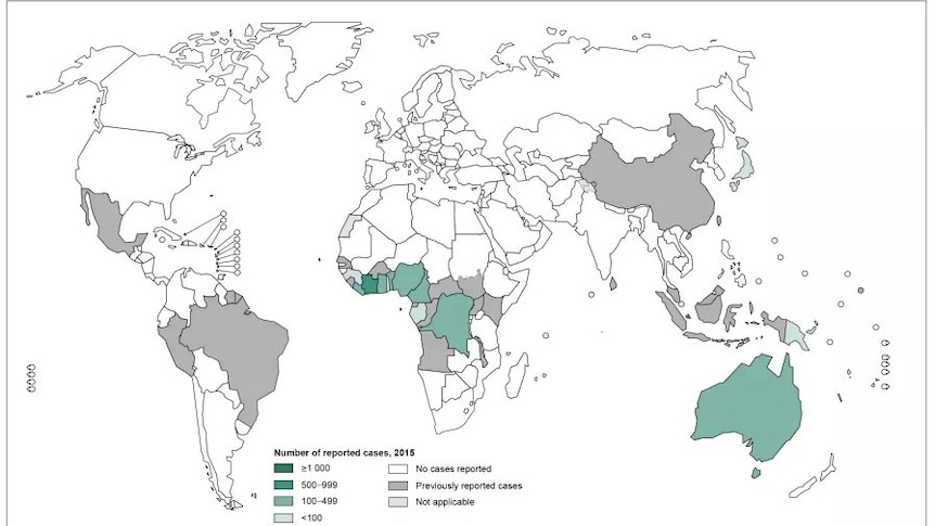 A map showing the concentration of Buruli bacteria around the world.