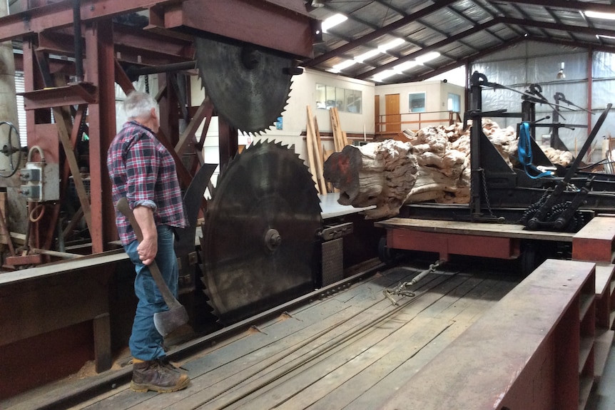 A man stands with an axe next to machinery that has two big wheel with sharp cutting edges.