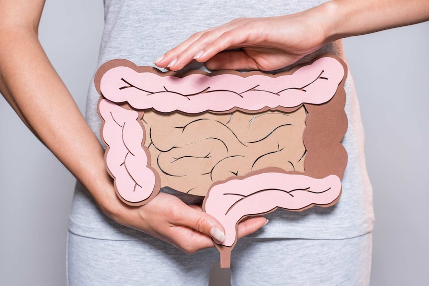 A woman holds a paper cut-out of a large intestine in front of her abdomen.