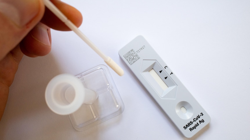 Generic pic of rapid antigen test for COVID