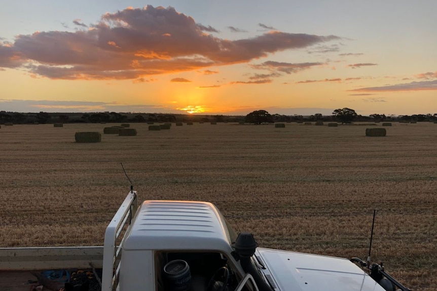 Landscape shot of a ute on a farm paddock with a sunset in the background
