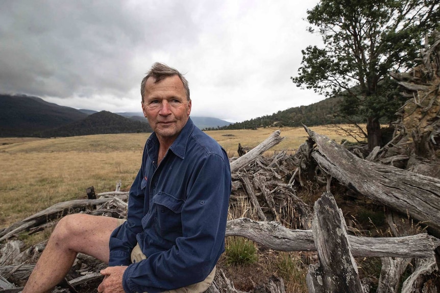 A man sits on a tree stump in a paddock looking into the distance.