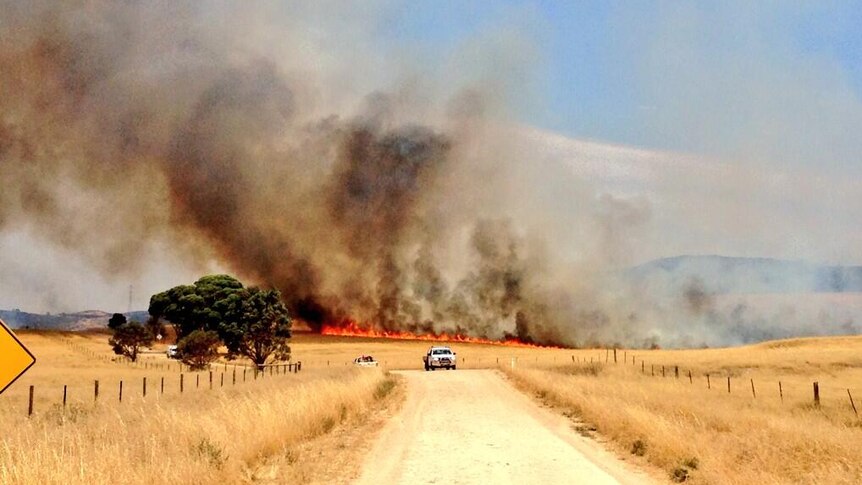 Cars drive away from bushfire at Eden Valley