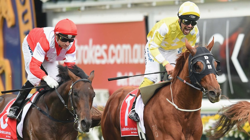 Criterion wins Caulfield Stakes