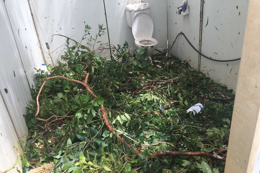 Fallen tree branches and debris from Cyclone Trevor litter a toilet block.