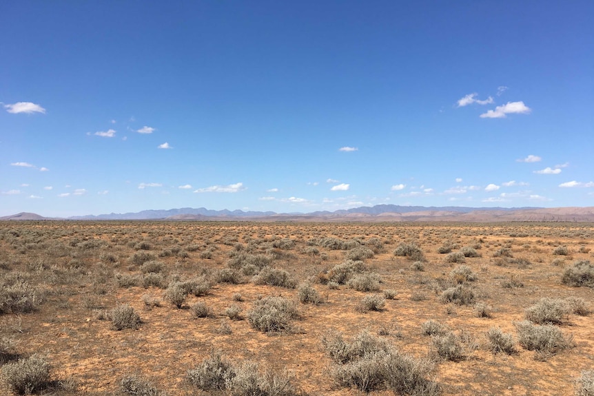 Flat ground with red dirt and outback shrubs. There are mountains in the background and blue, cloudless sky