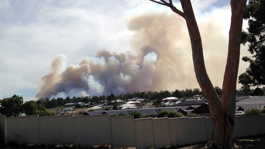 Bushfire burning near houses on the outskirts of Collie 15 February 2016