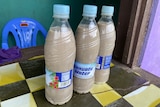 Three bottles full of kava for sale at a kava bar on Santo island, Vanuatu.