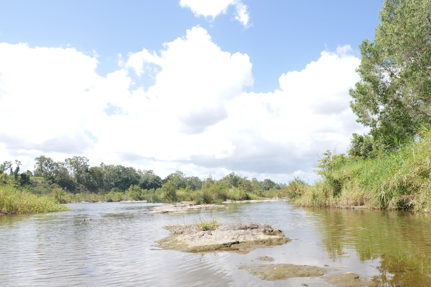 a blue sky with clouds above a river, with green grass growing on its banks