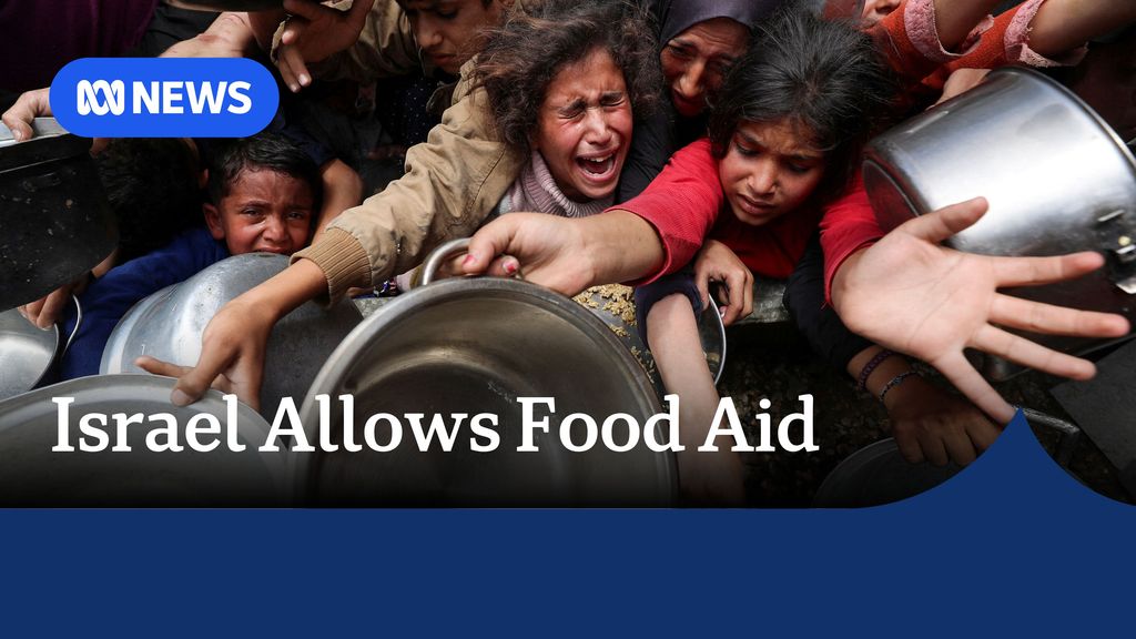 'Basic amount' of food aid allowed into Gaza, Netanyahu's office says ...