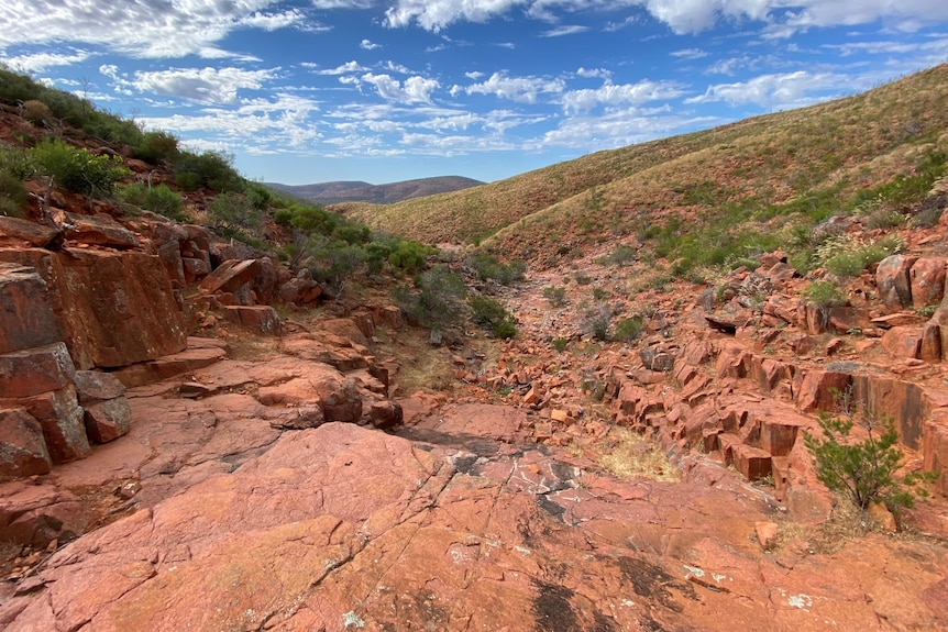 Scene of gully lined by rocky red rocks in foreground, sloping hill and green low bushes and ranges in background
