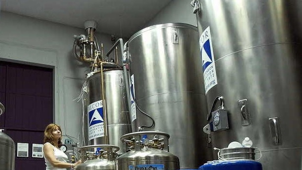 A woman observes several large stainless steel tanks