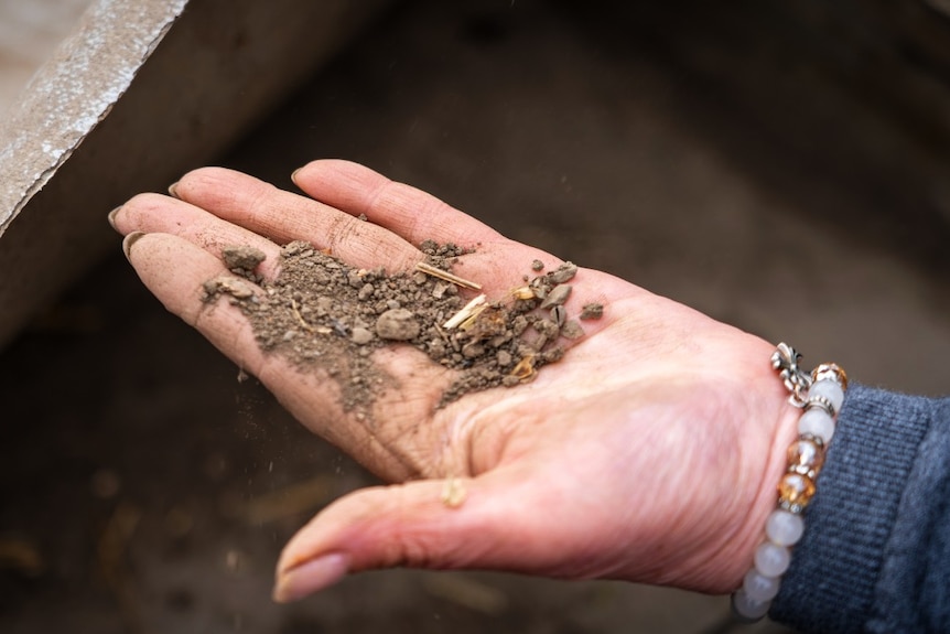 A hand with soil and other debris in it