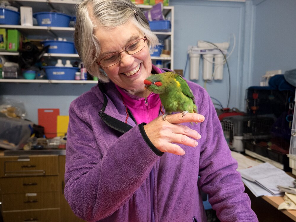 Winds, storms and heavy rain flood Adelaide Hills animal rescue ...