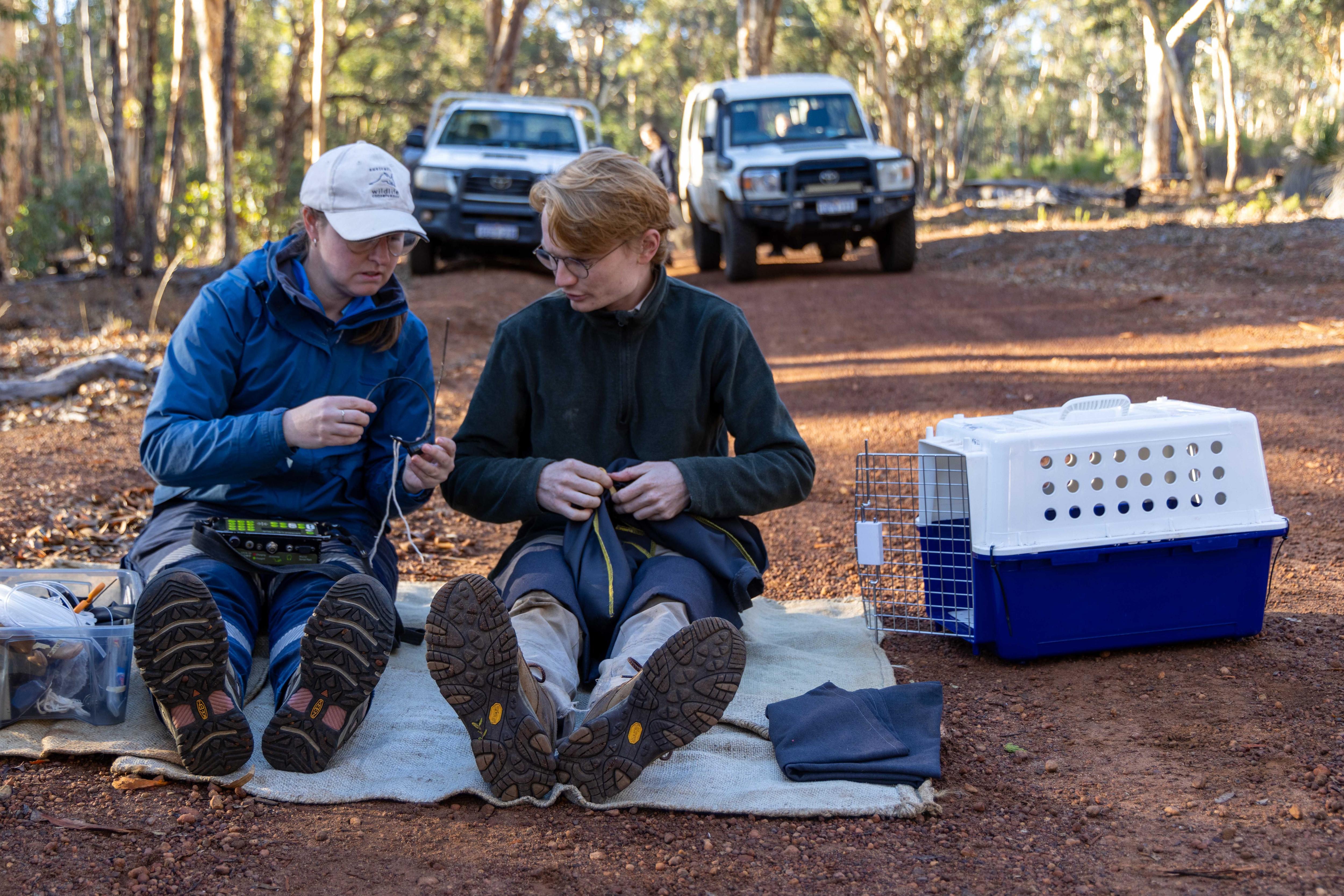 A man and a woman sit on red dirt and fix collars