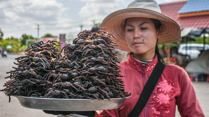 Inside Cambodia S Tarantula Snack Trade Abc News