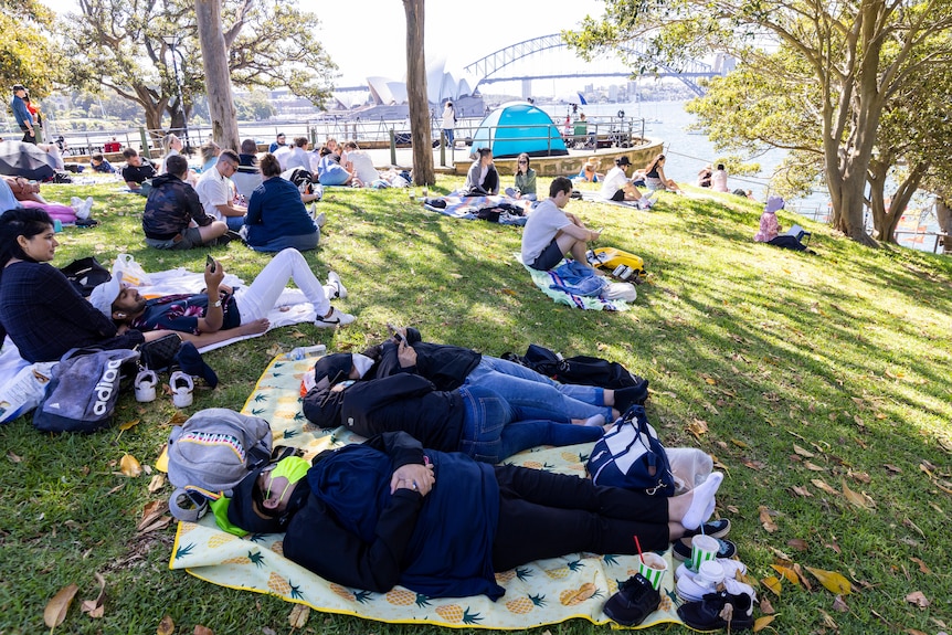 La photo montre des personnes dormant sur des couvertures dans un parc surplombant le port de Sydney