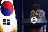 President Park Geun-hye bows during an address to the nation.