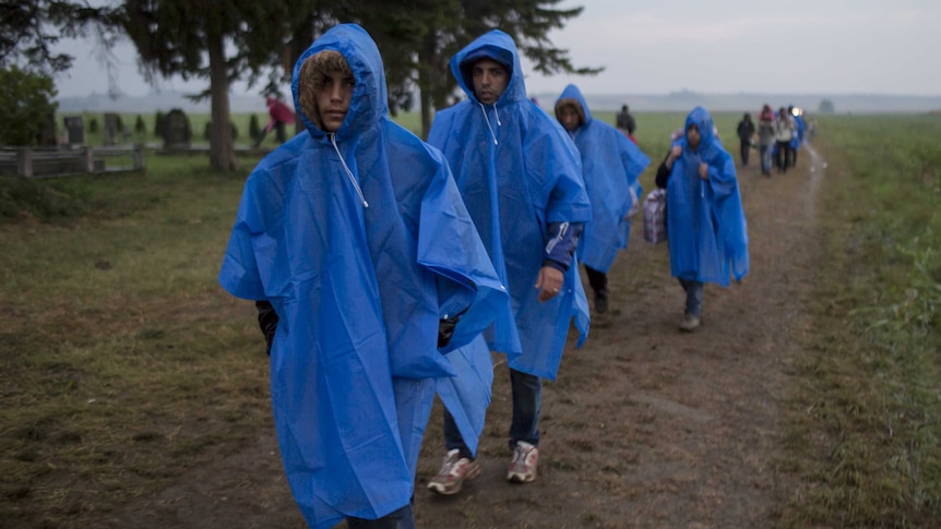 Asylum seekers walk on a field, after they cross the Serbia-Croatia border