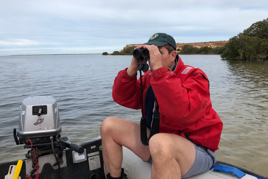 Man on small boat in bay, coast in background, looking through binoculars 
