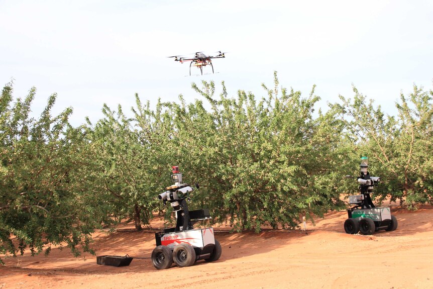two small four wheel vehicles in an orchard with a drone flying over head