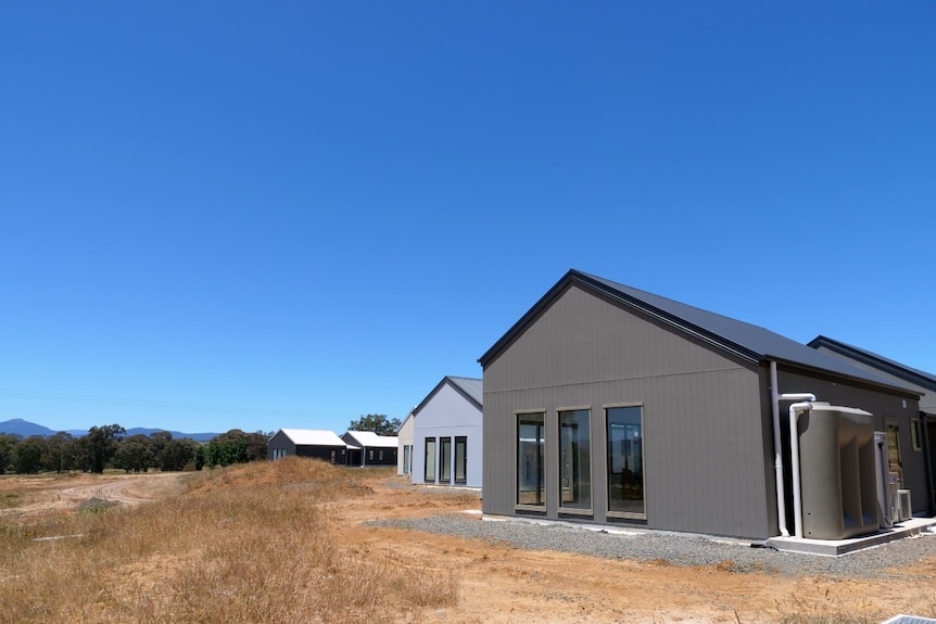 Two cabins in a paddock.