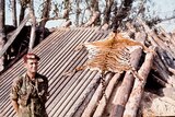 A man in military uniform stands next to a tiger skin resting on wooden poles.