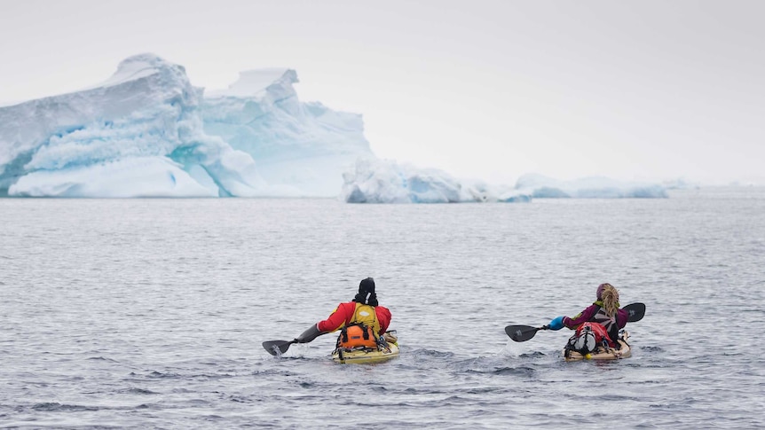 Sophie Ballagh and Ewan Blyth paddle their kayaks in open waters of Antarctica ahead of them is an iceberg.