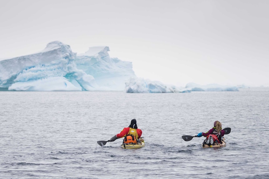 Sophie Ballagh and Ewan Blyth paddle their kayaks in open waters of Antarctica ahead of them is an iceberg.