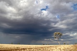 Widespread torrential rain is forecast for South Australia's north.