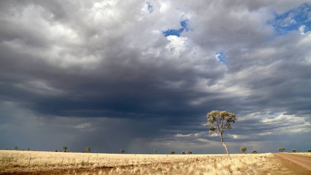 Hope of rain