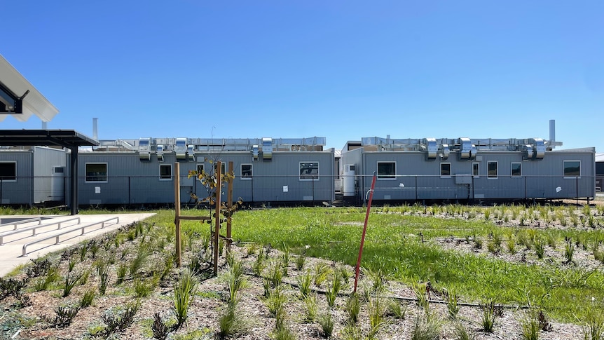 An outdoor walkway near cabins designed for quarantine