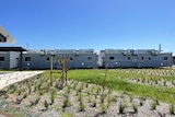 An outdoor walkway near cabins designed for quarantine