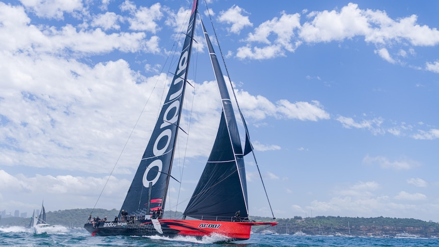 A picture of Sydney to Hobart boat Andoo Comanche speeding through the water with other competitors behind.