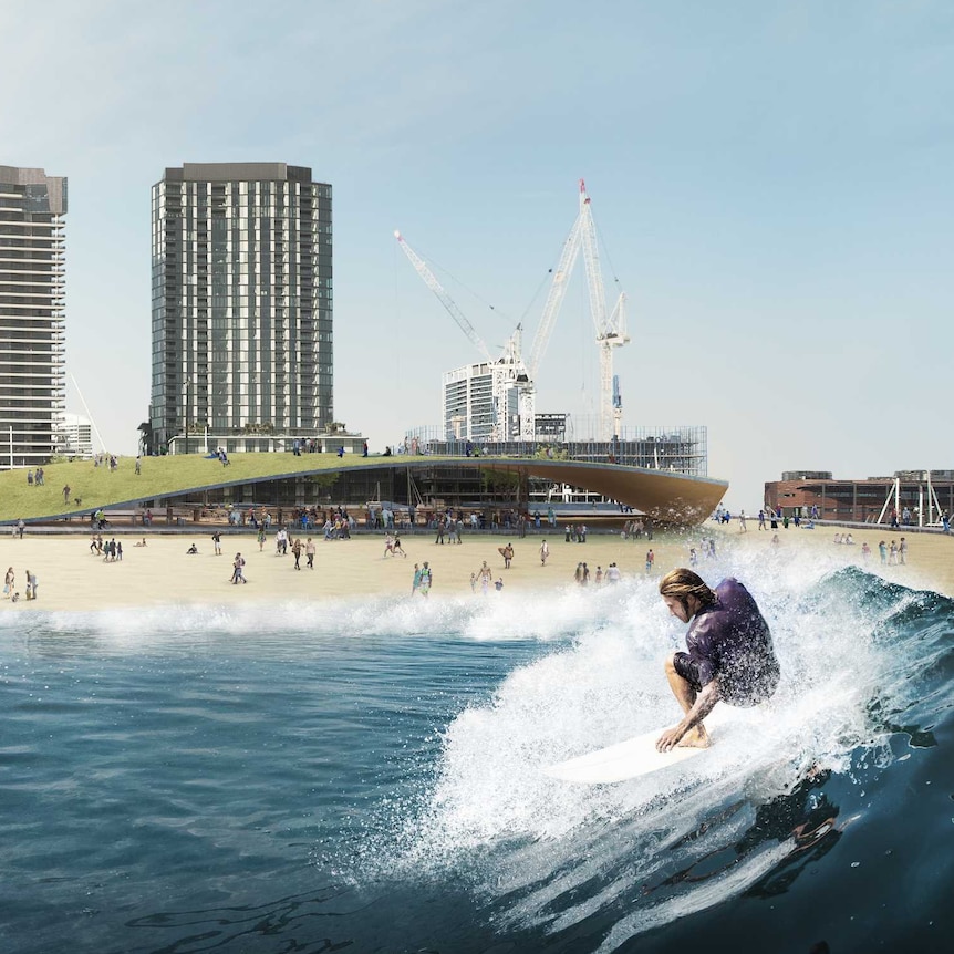 Water level view of surfer on wave in proposed park