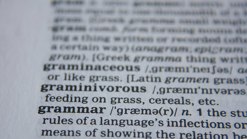 Close up of the word grammar