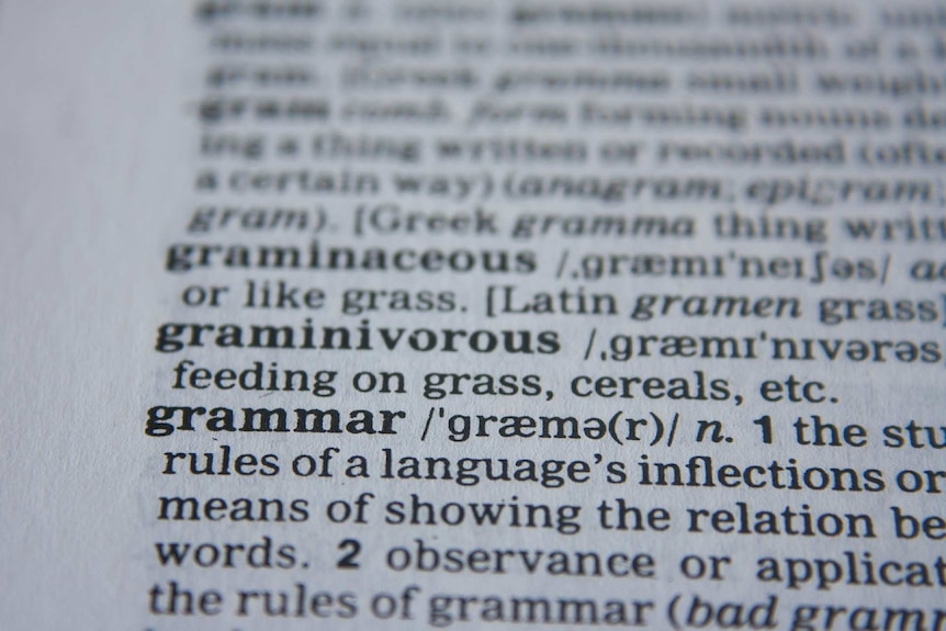 Close up of the word grammar