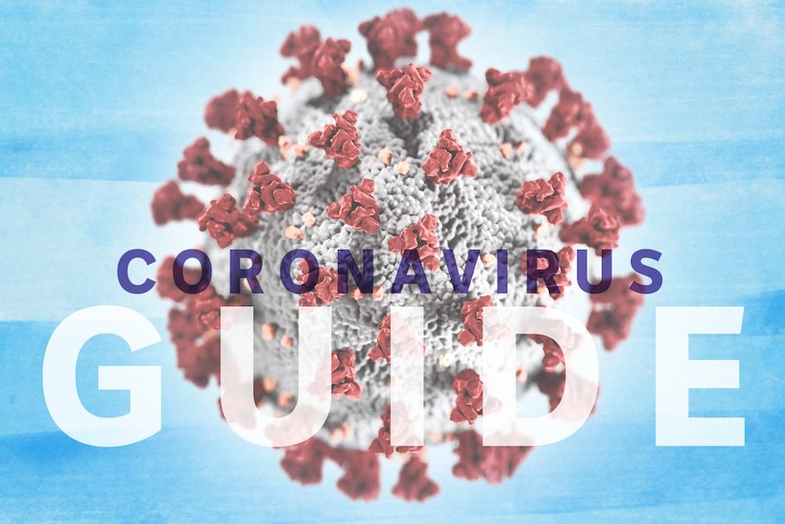 A 3D model of the COVID-19 Coronavirus and the words Coronavirus Guide over the top.