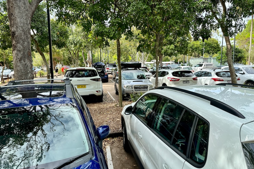 Cars parked in a designated carpark.